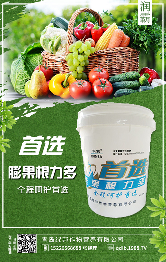 萬年青插桿及播種要點，室內(nèi)萬年青種植注意事項！