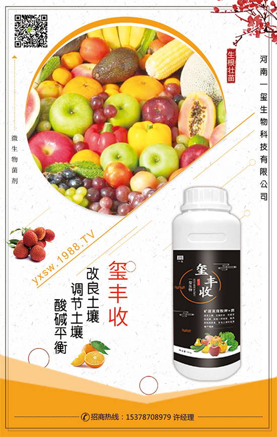 ��������ô�Nֲ��������Nֲ���g(sh��)��