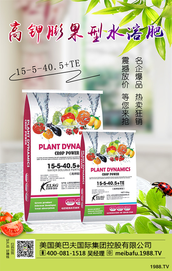 �ϹϷ��Ďׂ�(g��)���L(zh��ng)�A�����Ϲό�(du��)�������I�B(y��ng)Ҫ��