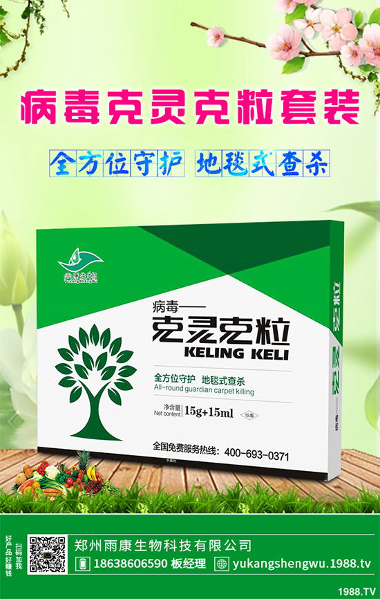 �W�ˌ�Ҫ���á���ɭ�i�\����