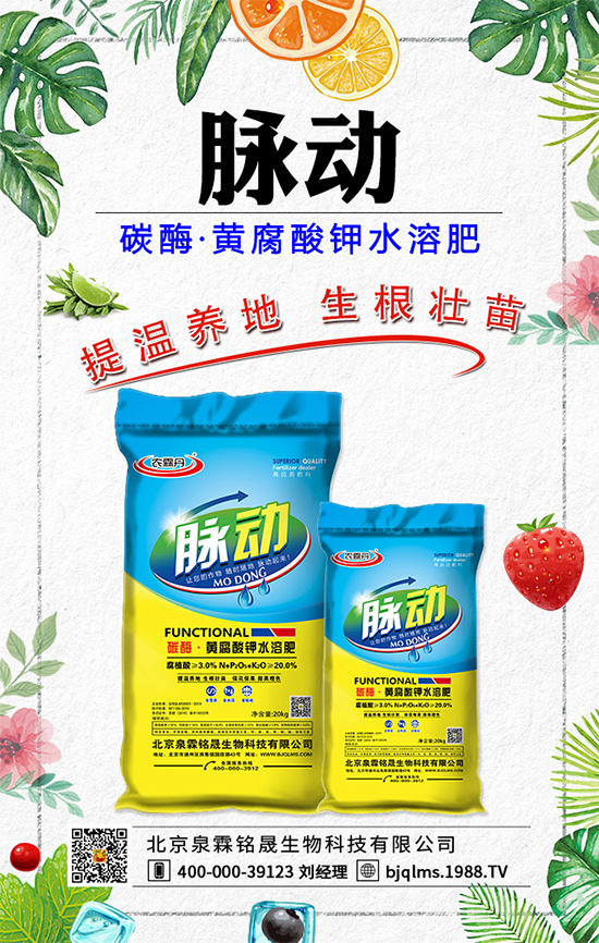 �ѹ�Ӣˎ�Ãr(ji��)ֵ����Щ���ѹ�Ӣ���ü���Ч��