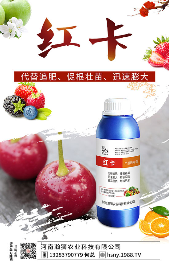 �����������ι�����������������Լ��g(sh��)Ҫ�c