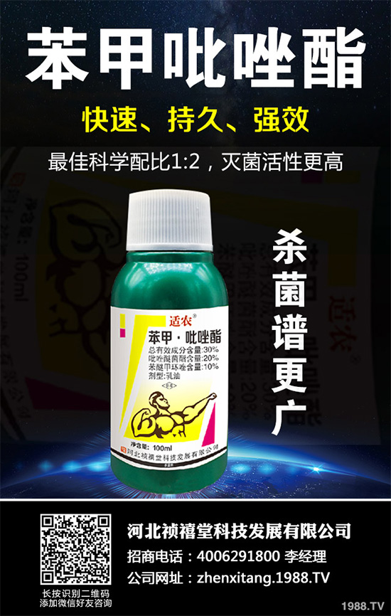 ������������~���򊙊����t��ǰ������