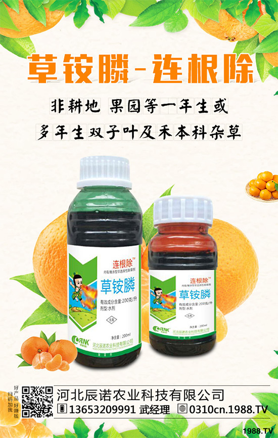 ������݄��aƷ�P�c����ǰƪ