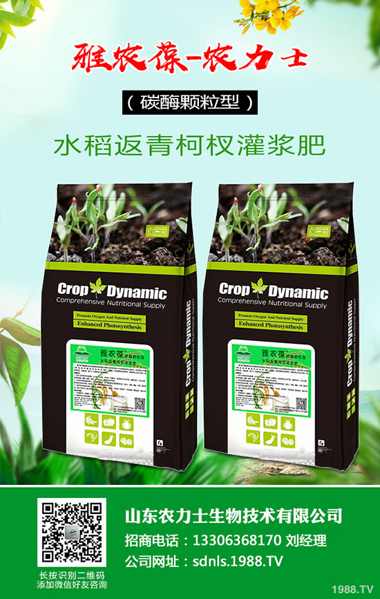     國內(nèi)尿素價(jià)格小幅探漲！最新尿素行情走勢(shì)綜合預(yù)測(cè)2020-4-16