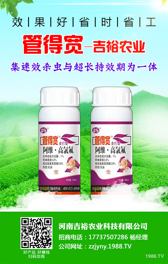 �����������x�������������������g(sh��)����