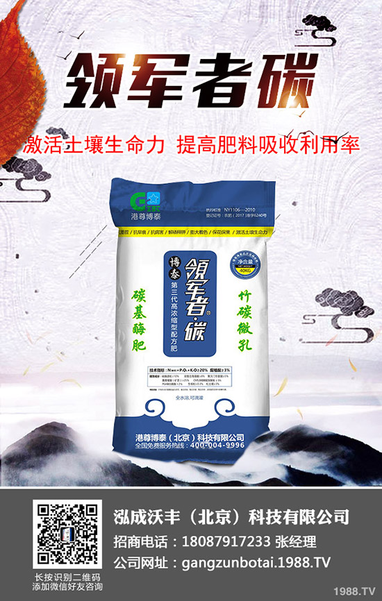 西紅柿徒長怎么辦？科學(xué)預(yù)防西紅柿徒長的方法