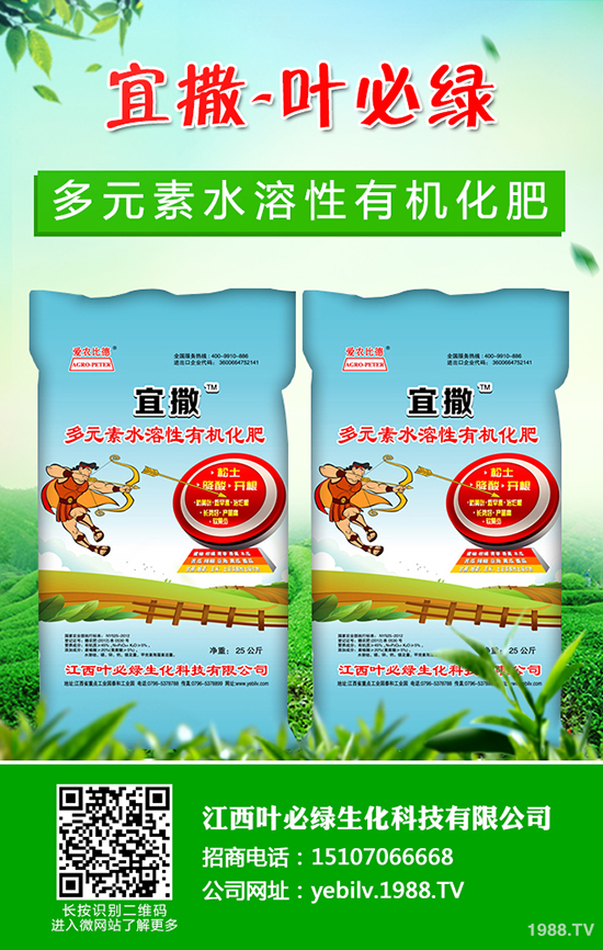 葫蘆種子怎么種 葫蘆種子催芽方法有哪些？