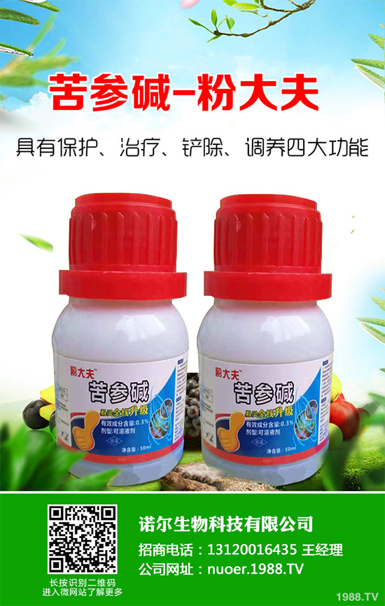 �{�����ӵă�(y��u)��(sh��)�����x���δ��ֲ���Ј�(ch��ng)�д�������