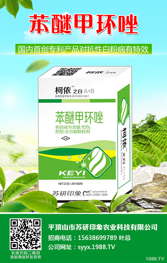     ��ذl(f��)�F(xi��n)���Ծ�������(y��ng)���赾��������(du��)뿾����Ŀ�ˎ�Ԇ�(w��n)�}