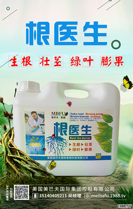 ������ʲô�r(sh��)�򲥷N���������Ĳ��N�r(sh��)�g��ע�����(xi��ng)