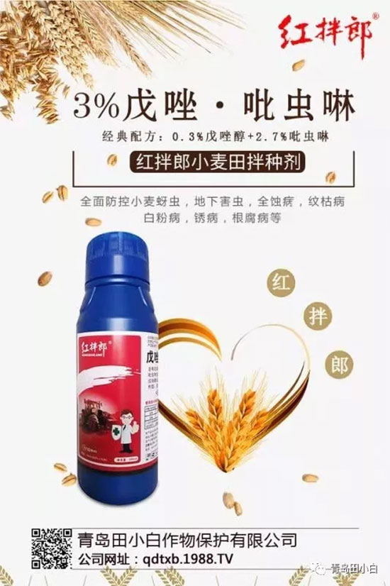 玉米為什么要拌種？玉米二次拌種及注意事項(xiàng)！