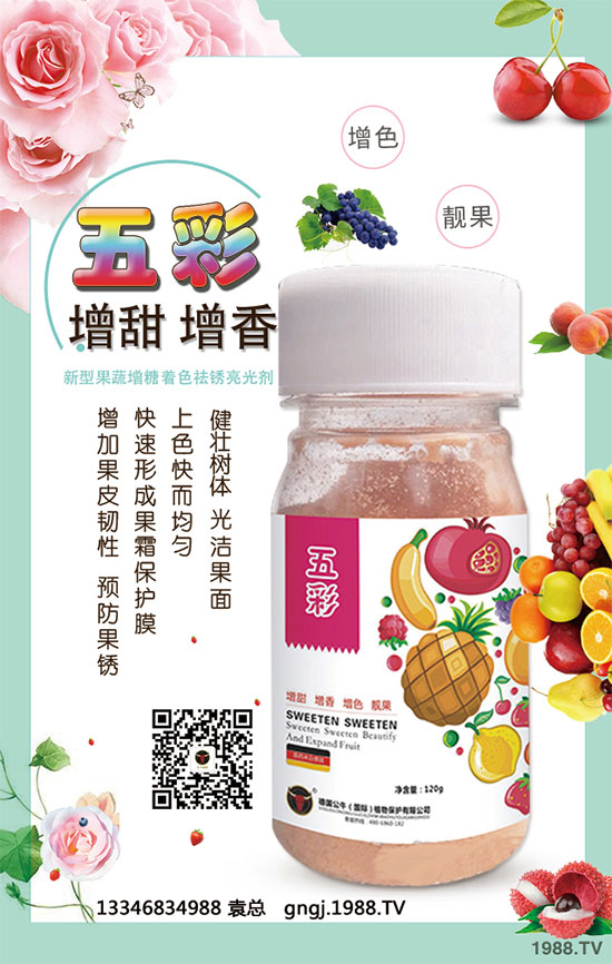 如何因地因品種確定玉米種植行距？玉米株距多遠(yuǎn)才是科學(xué)的？