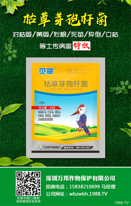 小麥赤霉病藥劑防治效果，有了新變化！