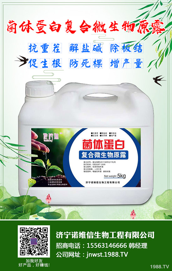 大豆施用硼肥有哪些好處？大豆施用硼肥的技術(shù)！