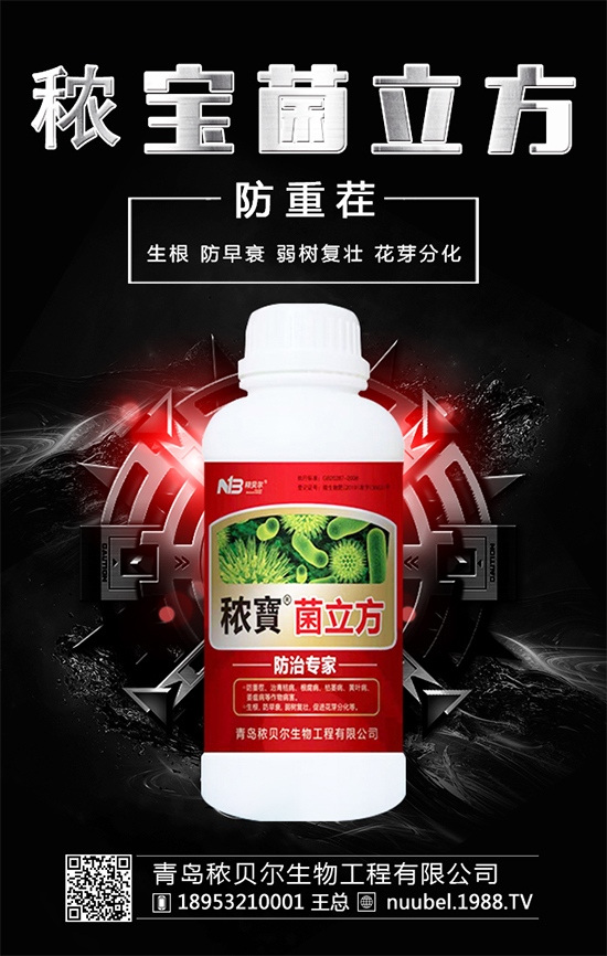 ����ʲô�r(sh��)����Բ��գ����պ�İ�����ô̎����