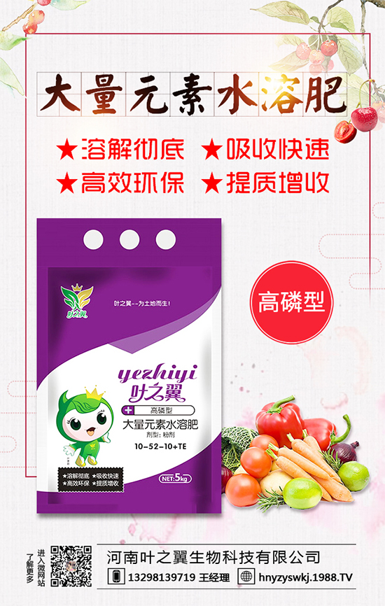 �������L��(x��)������Щ�����ɵ����g����Ҫ�c(di��n)��