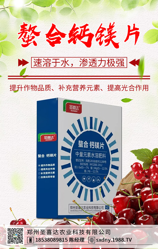 油麥菜該如何育苗？油麥菜的高產(chǎn)栽培管理技術(shù)