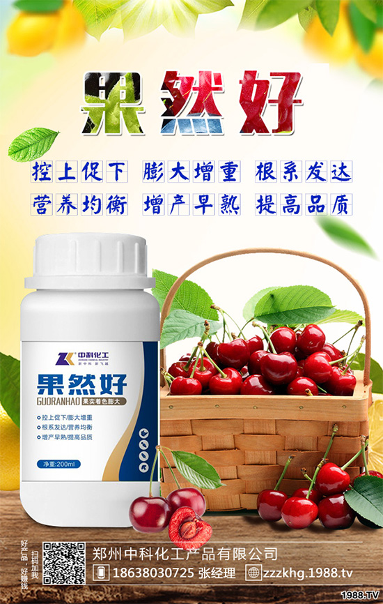 油麥菜有哪些營養(yǎng)價值？常吃油麥菜那些神奇效果？一起看看吧！