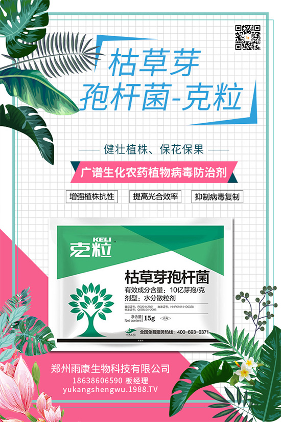 ����(n��i)����(chu��ng)��ֲ��Դ������ˎ���ذ����u��