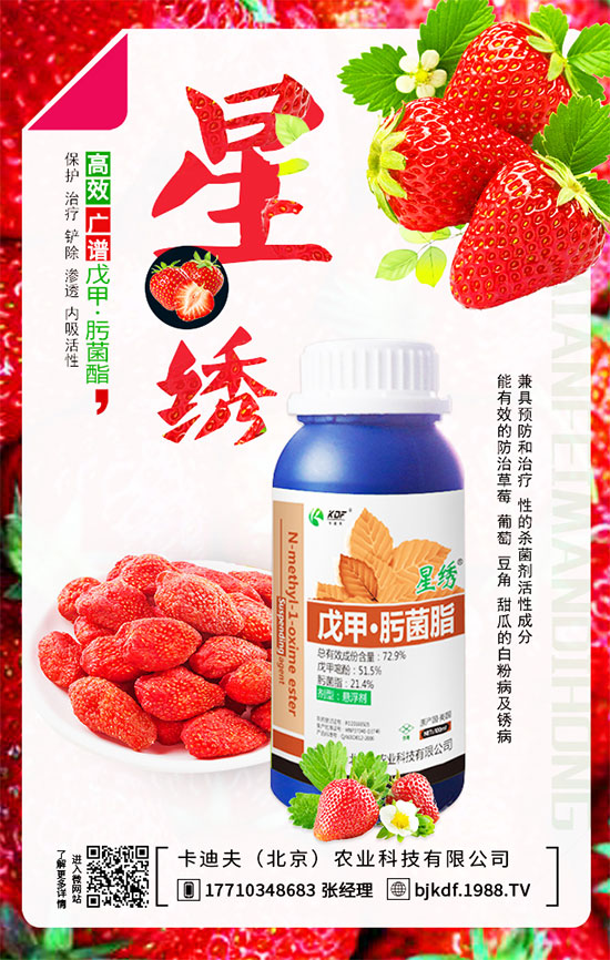 豆角要不要打尖？豆角如何正確整枝打尖呢？