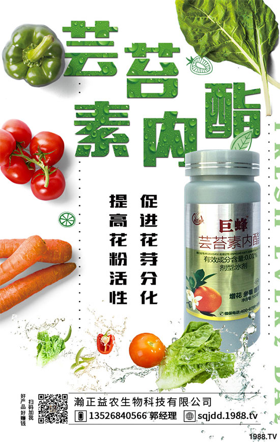 國內植物源藥劑防治青苔專利技術產品“苔美”即將上市