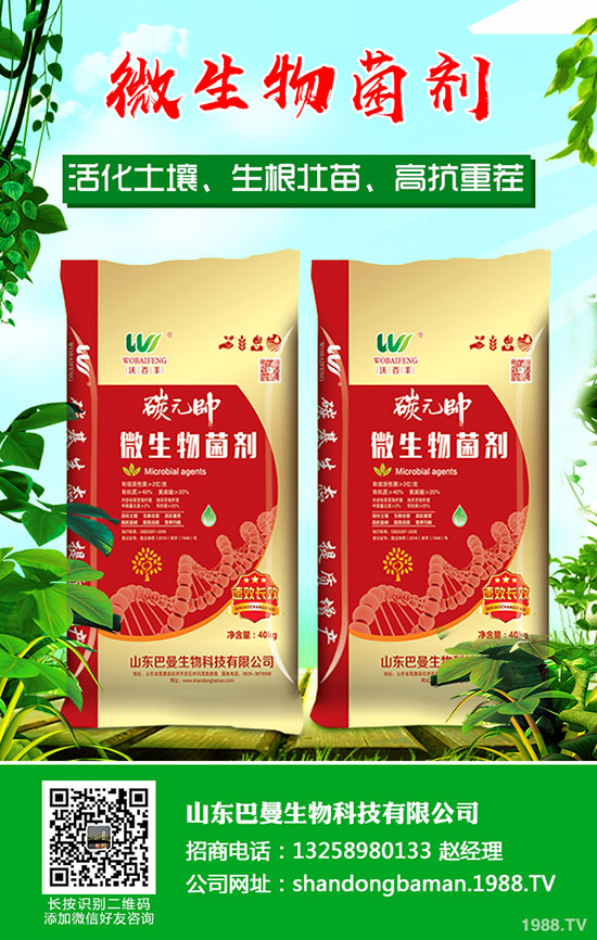     磷肥價(jià)格理性回歸狀態(tài)！最新磷酸一銨價(jià)格行情分析2020-4-24！