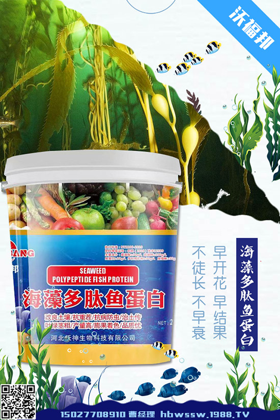     ���ӷNֲ��Ҫע����Щ���}�����ӵ�ˮ�ʹ���Ҫ�c��