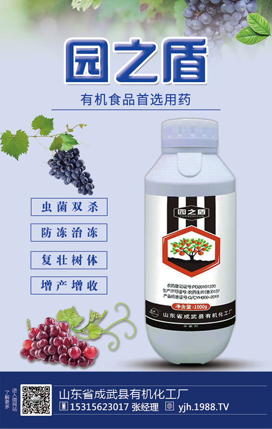 蘆筍如何施肥？蘆筍用什么肥料好？蘆筍需肥特點(diǎn)及注意事項(xiàng)！