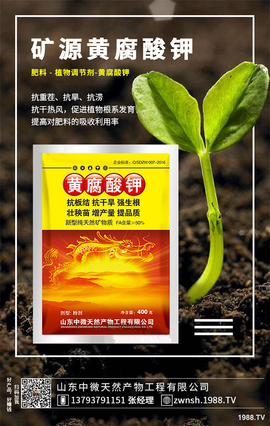 吳茱萸該如何繁殖？吳茱萸的繁殖技術栽培管理