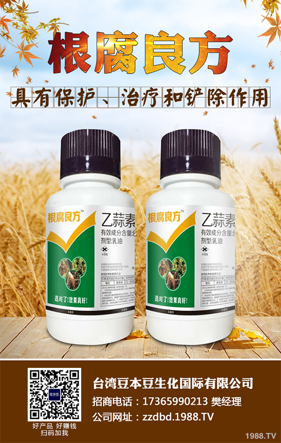 �O���������r��