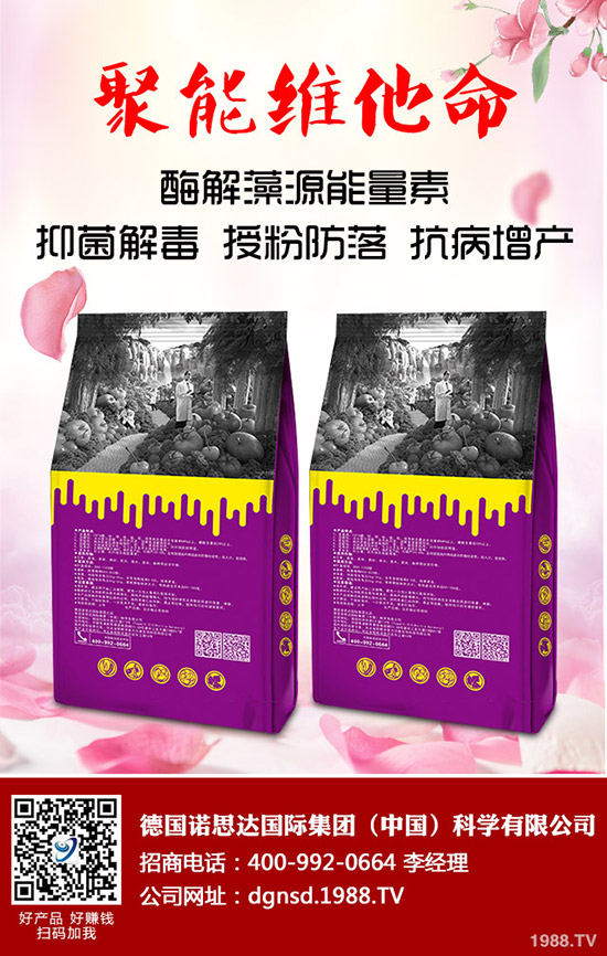 �ܱ��Ϲ���ô�Nֲ���ܱ��Ϲϵ����༼�g(sh��)Ҫ�c(di��n)�c������