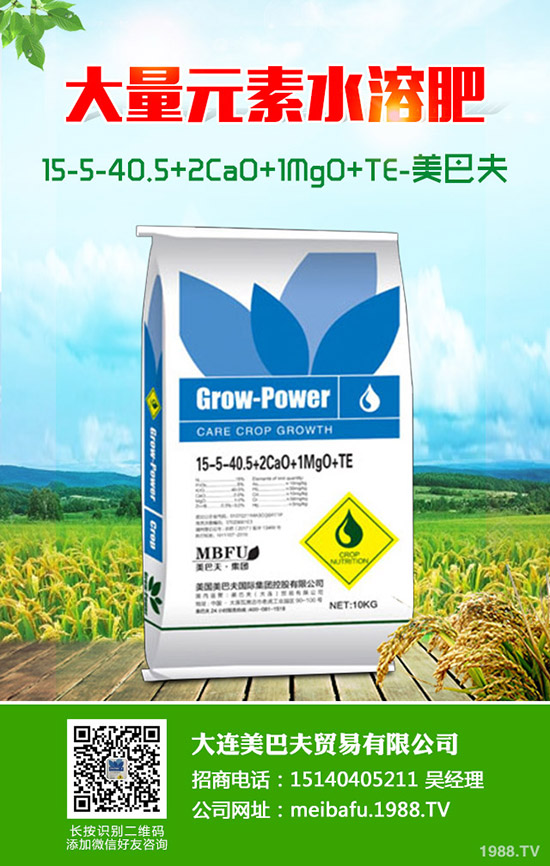     小麥白穗是什么??？有哪些原因造成的？防治時間及用什么藥治？