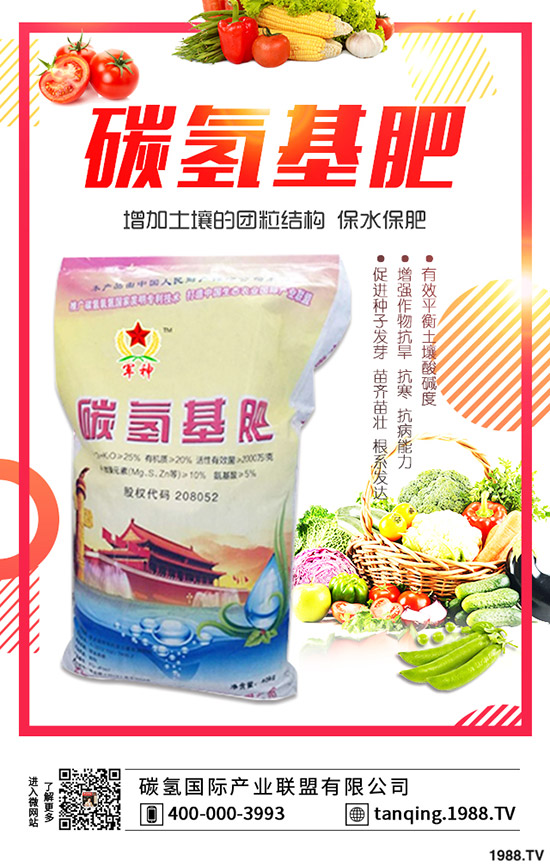 茶花盆景如何施肥，茶花盆景的施肥技巧有哪些