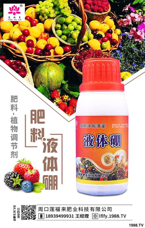 ���v������Щ��;��ԓ������ࣿ���v�������������g(sh��)