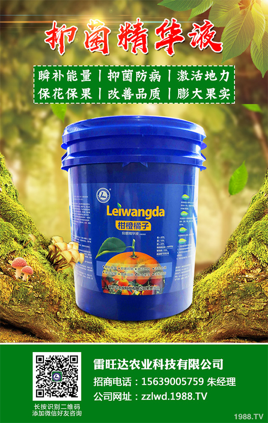 �~�Ȳ��Ј�(ch��ng)�r(ji��)������Xһ����2020���~�ȲݵķNֲЧ�����