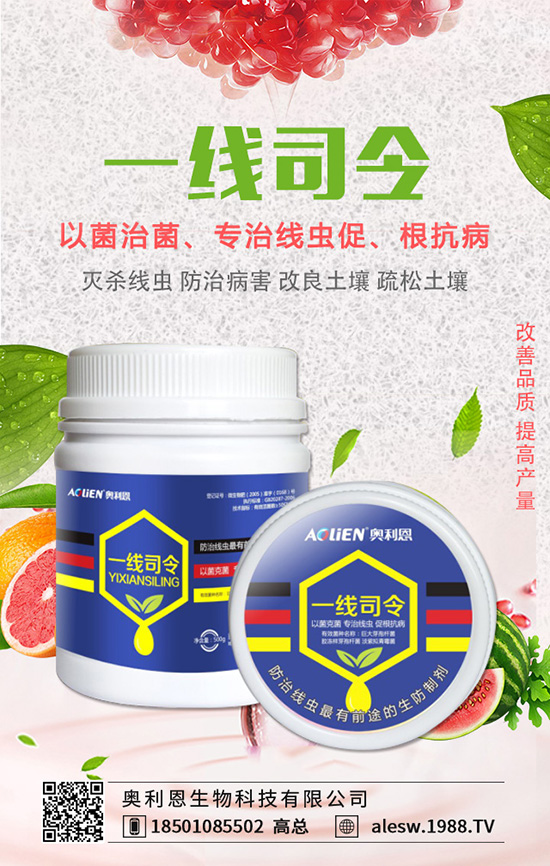 �㶹��������ʲôΣ�����㶹�������İl(f��)��Ҏ(gu��)�ɼ�������