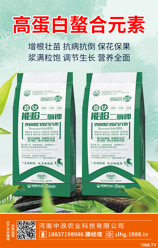 山楂什么時(shí)候種植？山楂樹高產(chǎn)種植方案