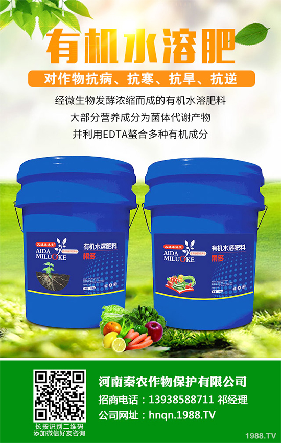 山楂什么時(shí)候種植？山楂樹高產(chǎn)種植方案