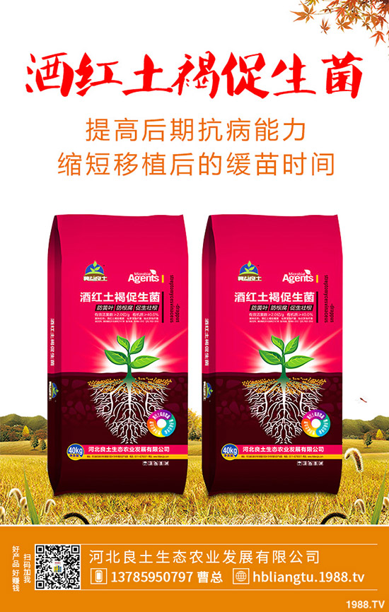 �{��ʲô�r(sh��)��Nֲ�^�����{�˵ķNֲ���g(sh��)�c���g����