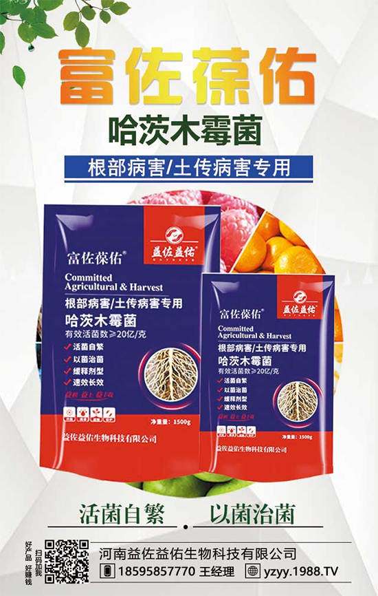 芋頭都有什么營(yíng)養(yǎng)價(jià)值？吃芋頭有什么好處？