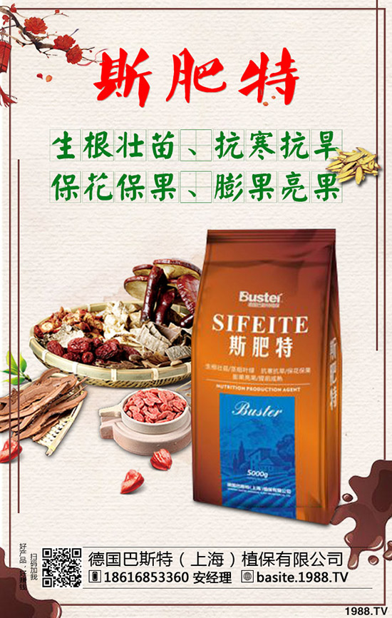 西瓜苗幾月份移栽，西瓜苗定植移栽技術(shù)及注意事項(xiàng)！