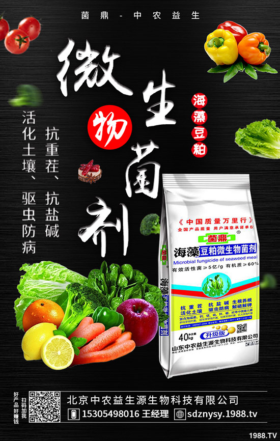     二銨市場整體表現(xiàn)平靜！2020-5-12最新磷酸二銨價格行情分析！