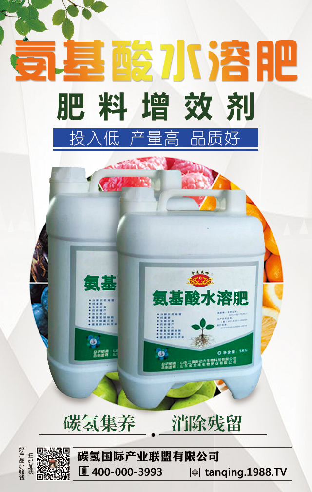 碳?xì)鋰?guó)際產(chǎn)業(yè)聯(lián)盟有限公司2