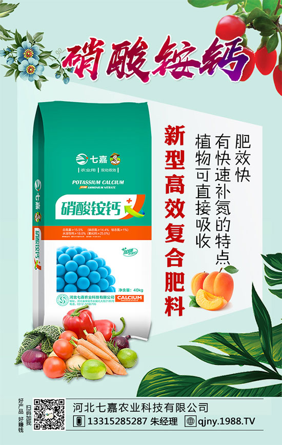 白掌生長習性有哪些？如何養(yǎng)好白掌呢？