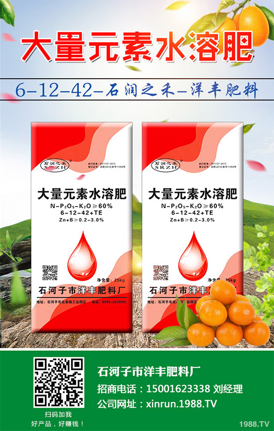 黃瓜嫁接好在哪里？有何優(yōu)勢？黃瓜嫁接的流程及注意事項