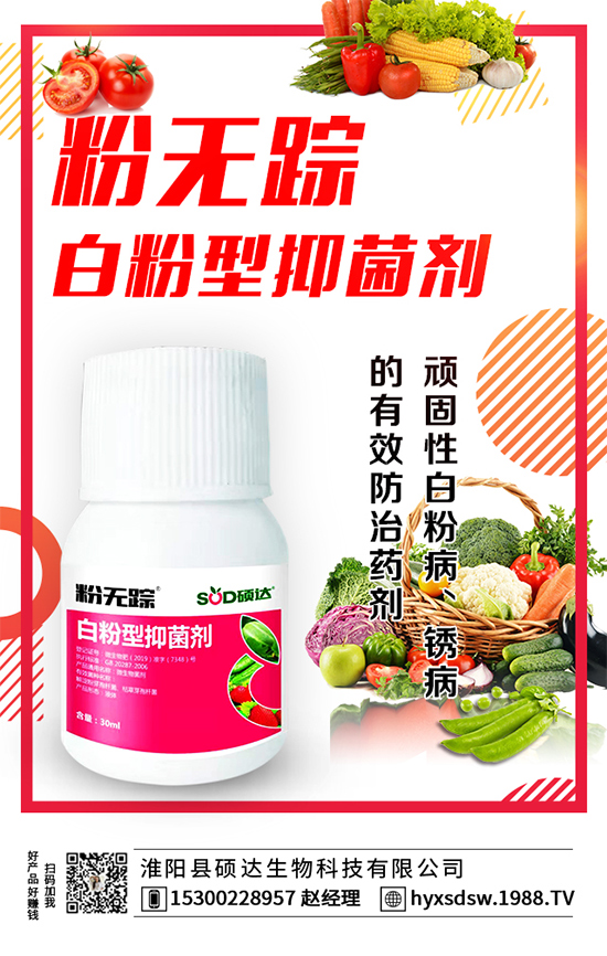 ������ô�Nֲ�������Nֲ���g(sh��)Ҫ�c��