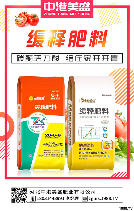 ����Nֲ��ÿ����ի@���Nֲ���һ���ж���������