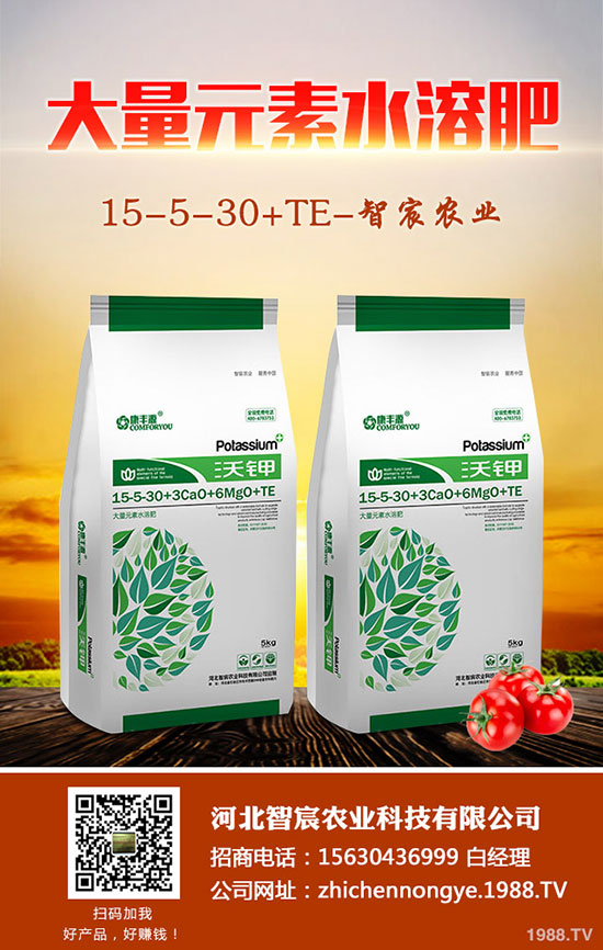 ����F��ô�B(y��ng)������F���B(y��ng)ֳ������ע�����(xi��ng)