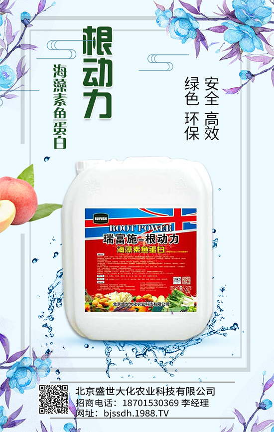 蘆筍有什么營養(yǎng)價值？吃蘆筍有哪些好處？